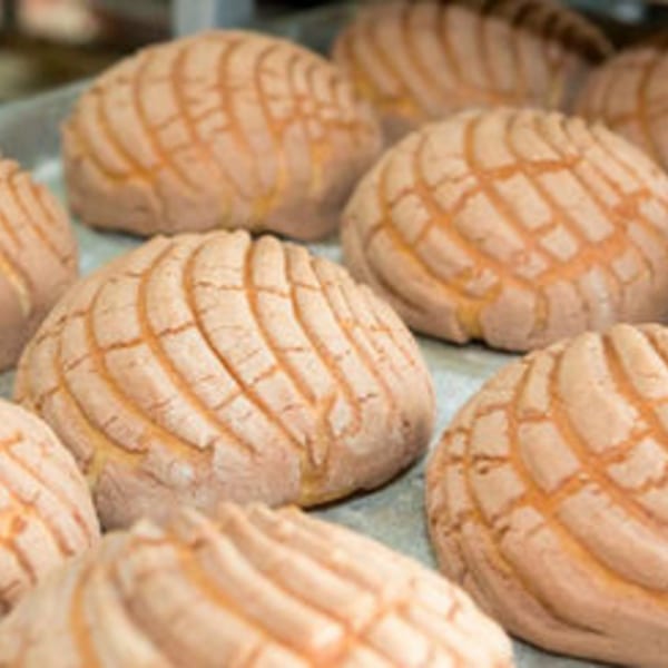 Close-up of multiple freshly baked conchas, a traditional Mexican sweet bread, on a baking sheet.